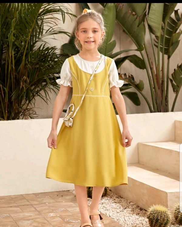 Button front 2 in 1 dress
